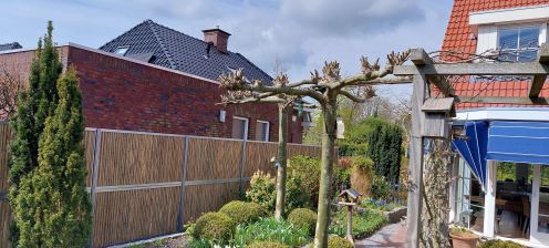 Bamboe schutting onderhouden: zo moet het!